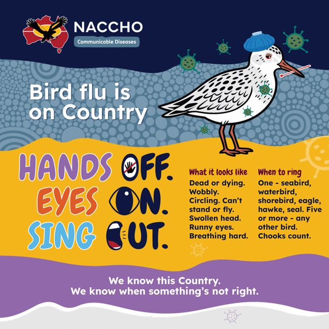 Bird flu - poster - image
