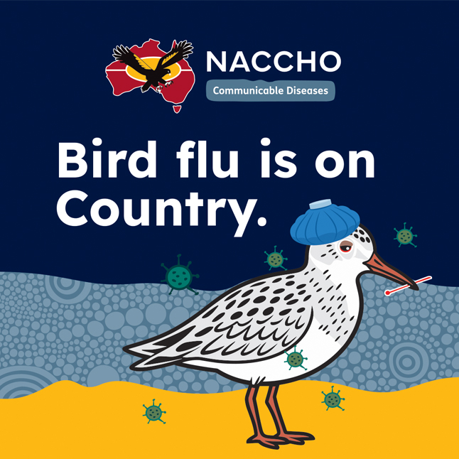 Bird flu - flyer - image
